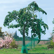 Anti birds net for fruit trees - 5x10 m